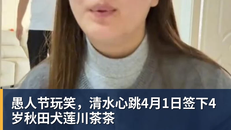 8868体育愚人节玩笑，清水心跳4月1日签下4岁秋田犬莲川茶茶