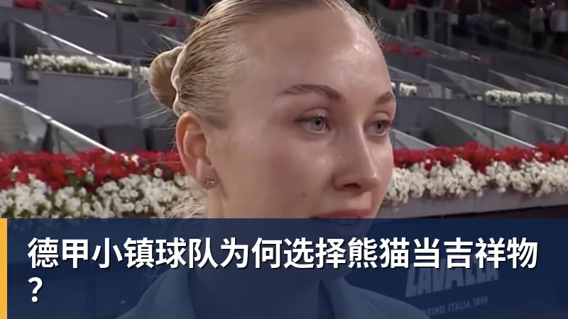 德甲小镇球队为何选择熊猫当吉祥物？